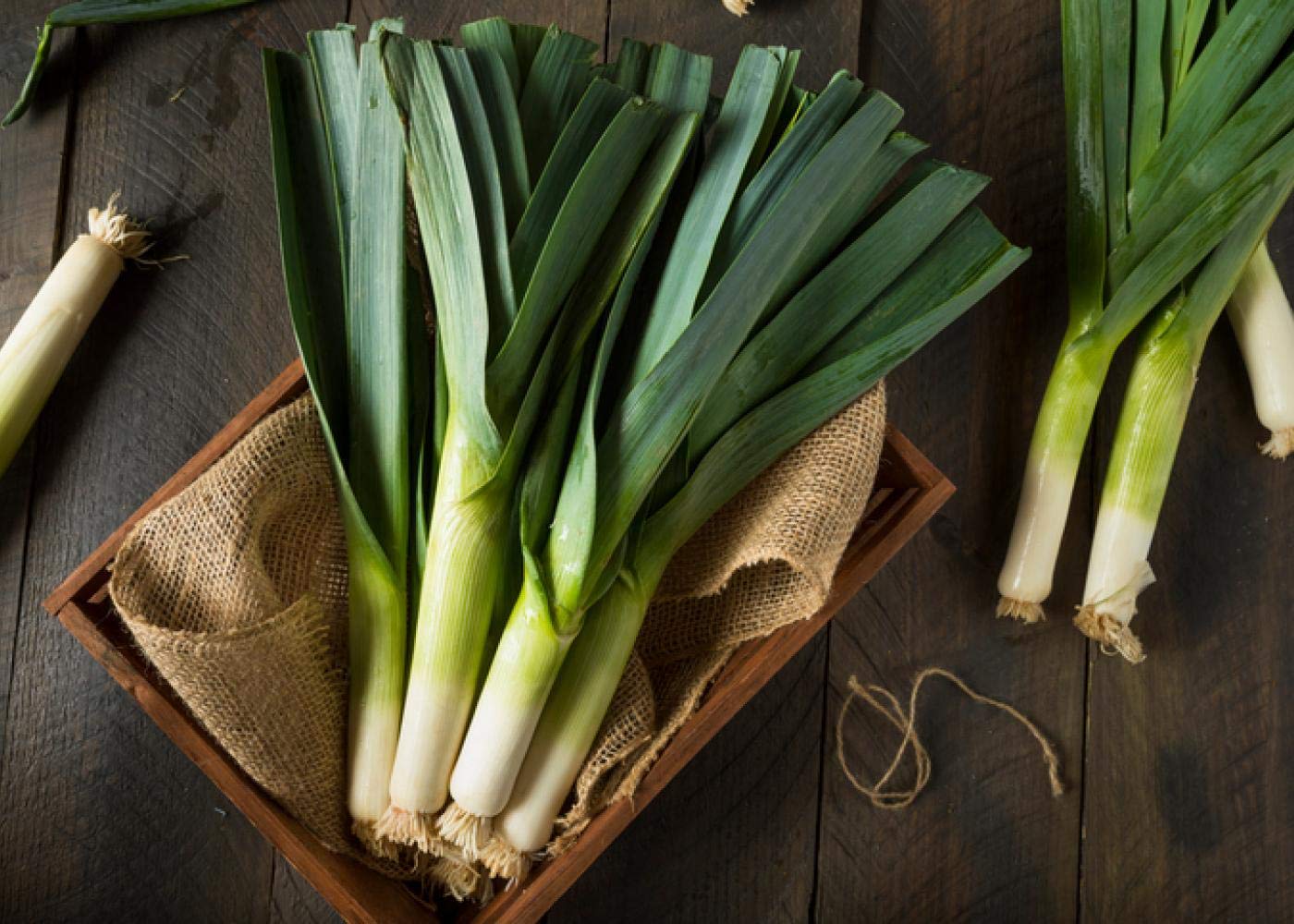 Leek Seeds - American Flag - Allium ampeloprasum