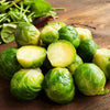 Brussels Sprout Seeds - Long Island Improved - Brassica olearacea