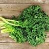 Gaea's Blessing Seeds - Kale Seeds - Non-GMO Seeds with Easy to Follow Planting Instructions - Open Pollinated, Untreated Heirloom