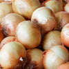 Gaea's Blessing Seeds - Onion Seeds - Non-GMO Heirloom Seeds with Easy to Follow Instructions