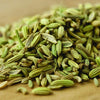 Fennel Seeds - Foeniculum vulgare