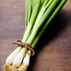 Scallion Seeds - Evergreen Bunching Nebuka - Allium fistulosum