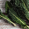 Gaea's Blessing Seeds - Kale Seeds - Non-GMO Seeds with Easy to Follow Planting Instructions - Open Pollinated, Untreated Heirloom