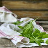 Sorrel Herb Seeds - French - Rumex acetosa