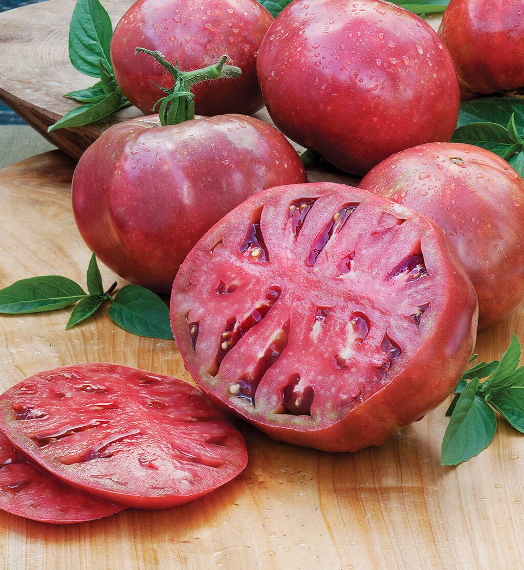 Tomato Seeds - Cherokee Purple Slicing Tomato - Lycopersicon esculentum