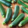 Zucchini Seeds - Black Beauty Summer Squash - Cucurbita pepo