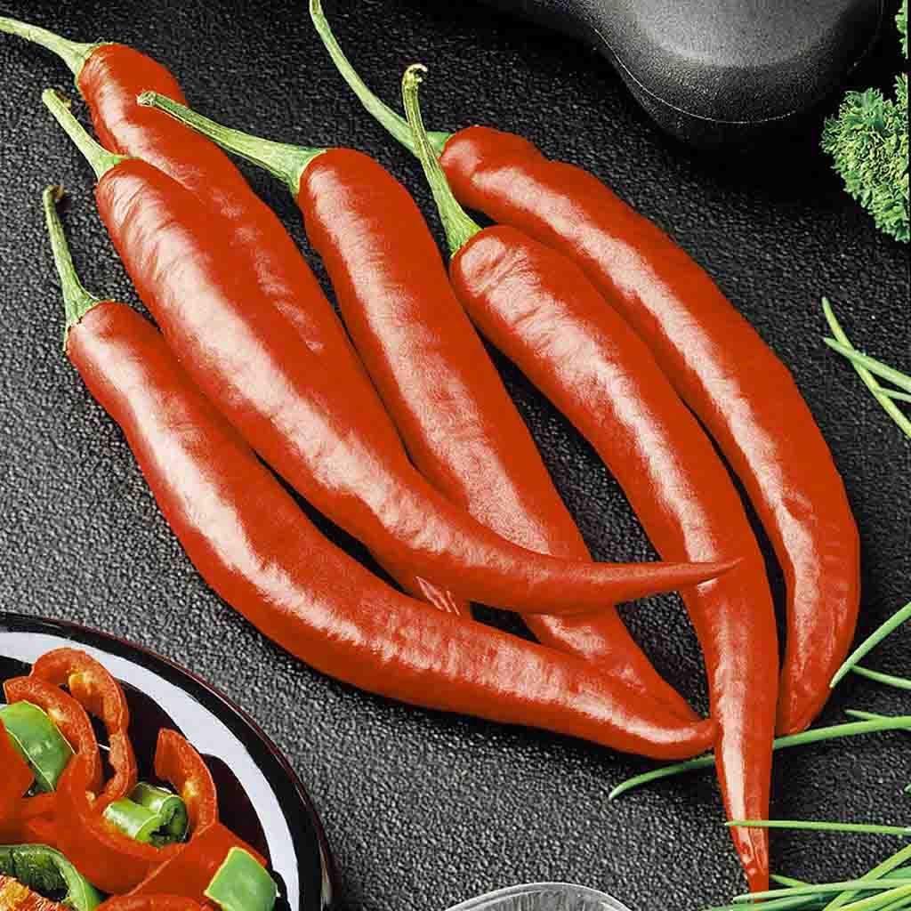 Cayenne Pepper Seeds - Capsicum annuum
