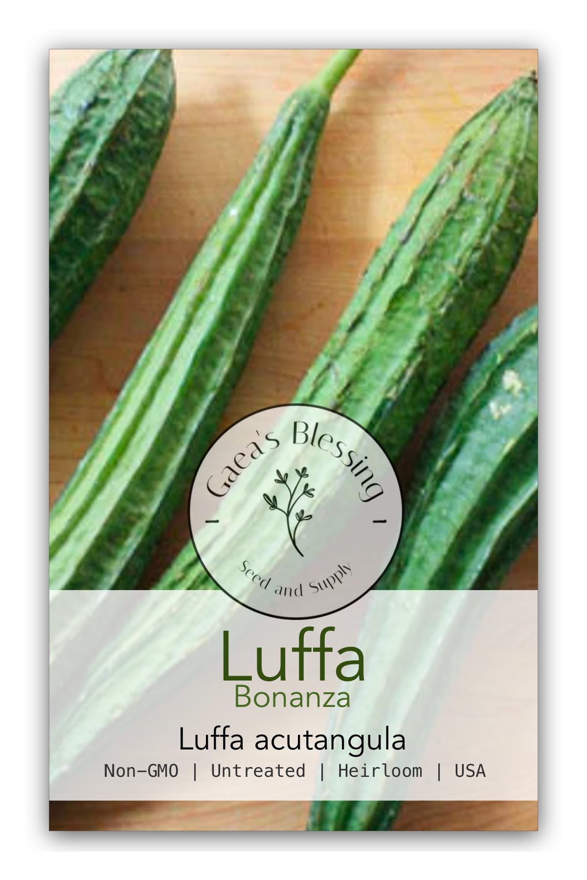 TomorrowSeeds - Bonanza Angled Luffa Gourd Seeds