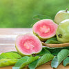 Guava Seeds - Psidium guajava