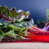 Swiss Chard Seeds - Ruby Red Rhubarb - Beta vulgaris