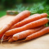 Carrot Seeds - Tendersweet - Daucus carota