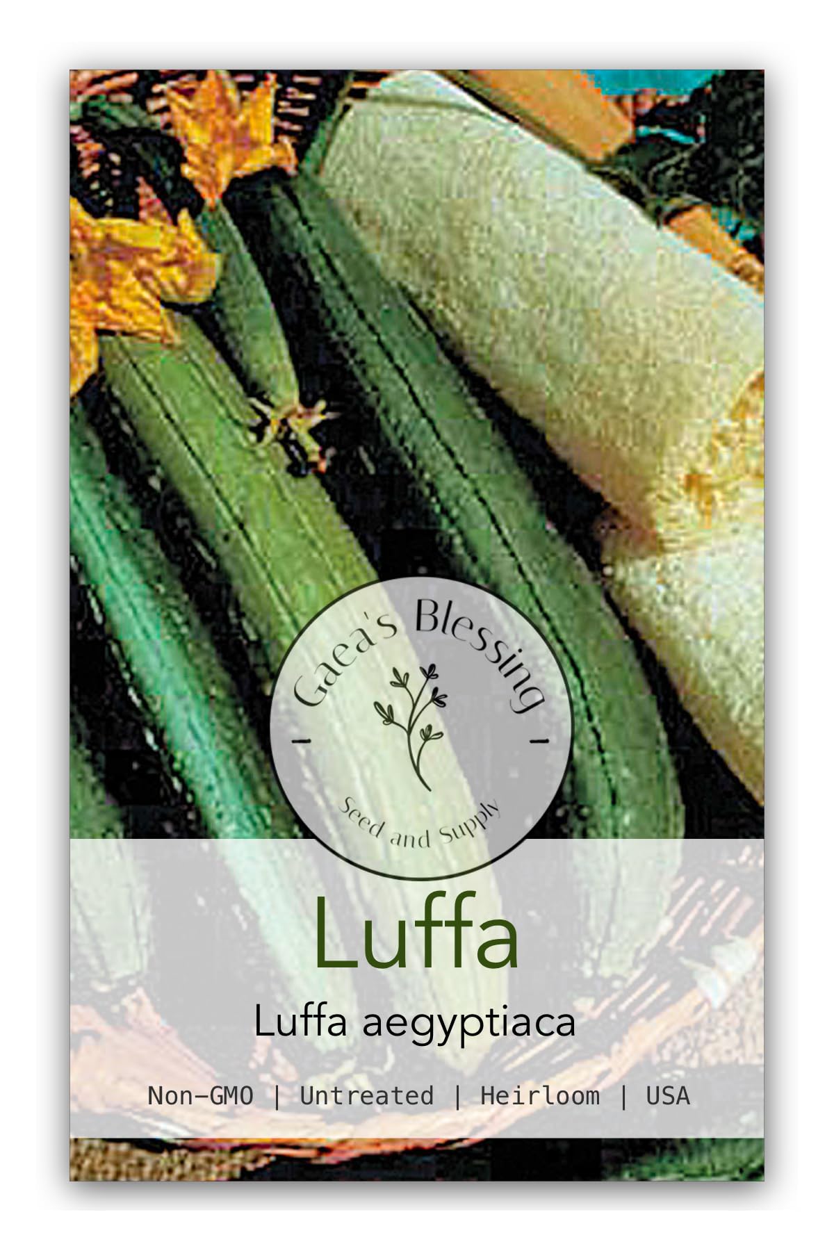 Gaea's Blessing Seeds - Bottle Gourd Seeds - Heirloom Non-GMO Seeds with Easy to Follow Planting Instructions