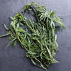 Tarragon Seeds - Artemesia drancunculus