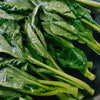Yu Choy Sum Seeds - Jung Green - Brassica rapa var. parachinensis