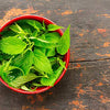 Stinging Nettle Seeds - Urtica dioica, Non GMO, Open Pollinated, Heirloom