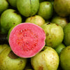 Guava Seeds - Psidium guajava