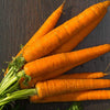 Carrot Seeds - Imperator 58 - Daucus carota