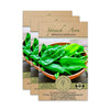 Spinach Seeds - Avon F1 Hybrid - Spinacia oleracea