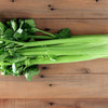 Celery Seeds - Tall Utah 52-70 - Apium graveolens