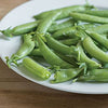 Snap Pea Seeds - Sugar Ann - Pisum sativum