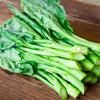Gailan Seeds - Chinese Broccoli -  Brassica oleracea