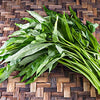 Ong Choy Seeds - Kong Xin Cai - Kangkong