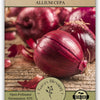 Gaea's Blessing Seeds - Onion Seeds - Non-GMO Heirloom Seeds with Easy to Follow Instructions