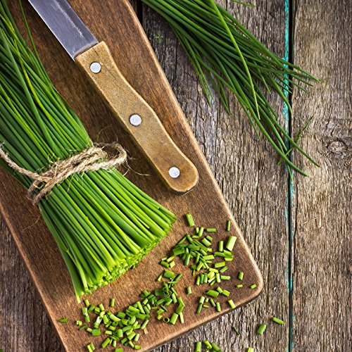 Chives Seeds - Allium schoenoprasum