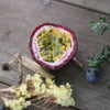 Passion Fruit Seeds - Passiflora edulis