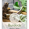 Gaea's Blessing Seeds - Burdock Seeds - Non-GMO Seeds with Easy to Follow Planting Instructions - Open-Pollinated High Yield Heirloom