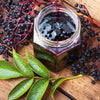 Elderberry Seeds - American Black Elderberry - Sambucus canadensis