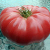 Tomato Seeds - Beefsteak Tomato - Lycopersicon esculentum