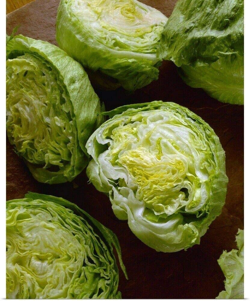 Lettuce Seeds - Iceberg Batavian - Lactuca sativa