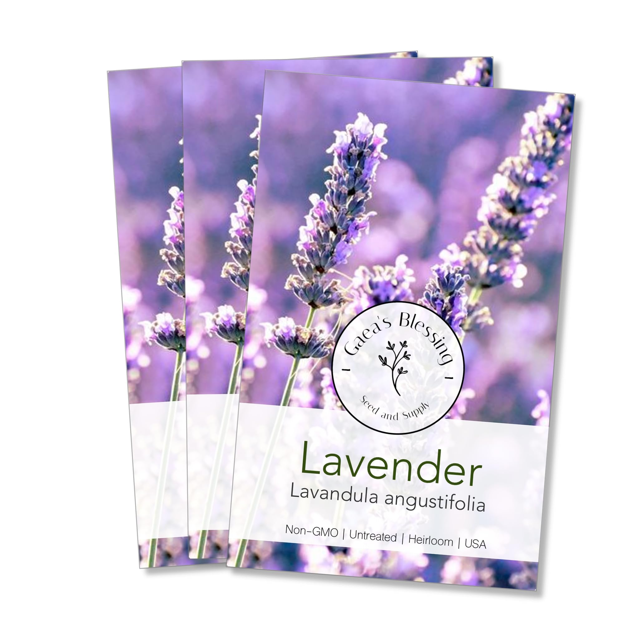 gathering lavender seeds Gaea's Blessing Seeds - Lavender Seeds - Heirloom Non-GMO Seeds with Easy to Follow Instructions - Open-Pollinated, Untreated