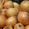 Gaea's Blessing Seeds - Onion Seeds - Non-GMO Heirloom Seeds with Easy to Follow Instructions
