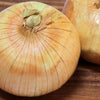 Gaea's Blessing Seeds - Onion Seeds - Non-GMO Heirloom Seeds with Easy to Follow Instructions
