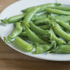 Snap Pea Seeds - Sugar Ann - Pisum sativum
