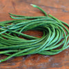 Yard Long Bean Seeds - Vigna unguiculata