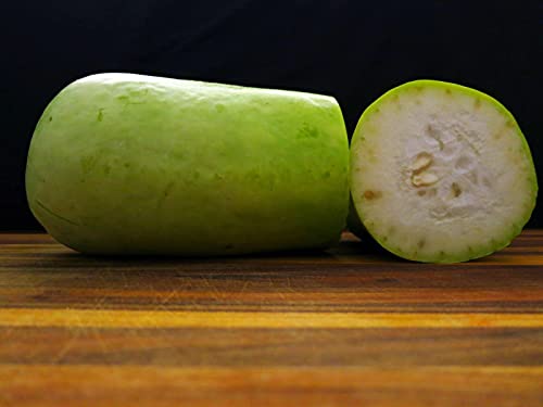 Bottle Gourd Seeds - Opo Squash - Lagenaria siceraria