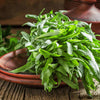 Tarragon Seeds - Artemesia drancunculus