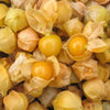Tomatillo Seeds - Aunt Molly's - Physalis pruinosa