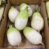 Daikon Radish Seeds - Summit F1 Hybrid - Korean Type - Raphinus sativus var. longipinnatus