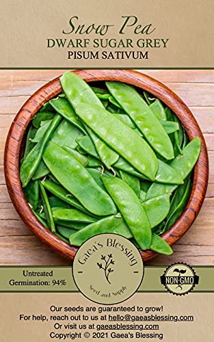 Snow Pea Seeds - Dwarf Sugar Grey - Pisum sativum