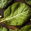Gaea's Blessing Seeds - Collard Greens Seeds (3.0g) Champion Non-GMO Seeds with Easy to Follow Planting Instructions - 93% Germination Rate
