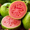 Guava Seeds - Psidium guajava