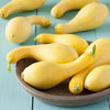 Crookneck Yellow Squash Seeds - Early Summer Squash - Curcubita pepo