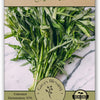 Ong Choy Seeds - Kong Xin Cai - Kangkong