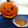 Pumpkin Seeds - Jack O Lantern - Curcubita maxima
