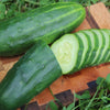 Cucumber Seeds - Spacemaster 80 - Cucumis sativus