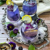 Butterfly Pea Seeds - Asian Pigeonwing - Clitoria ternatea